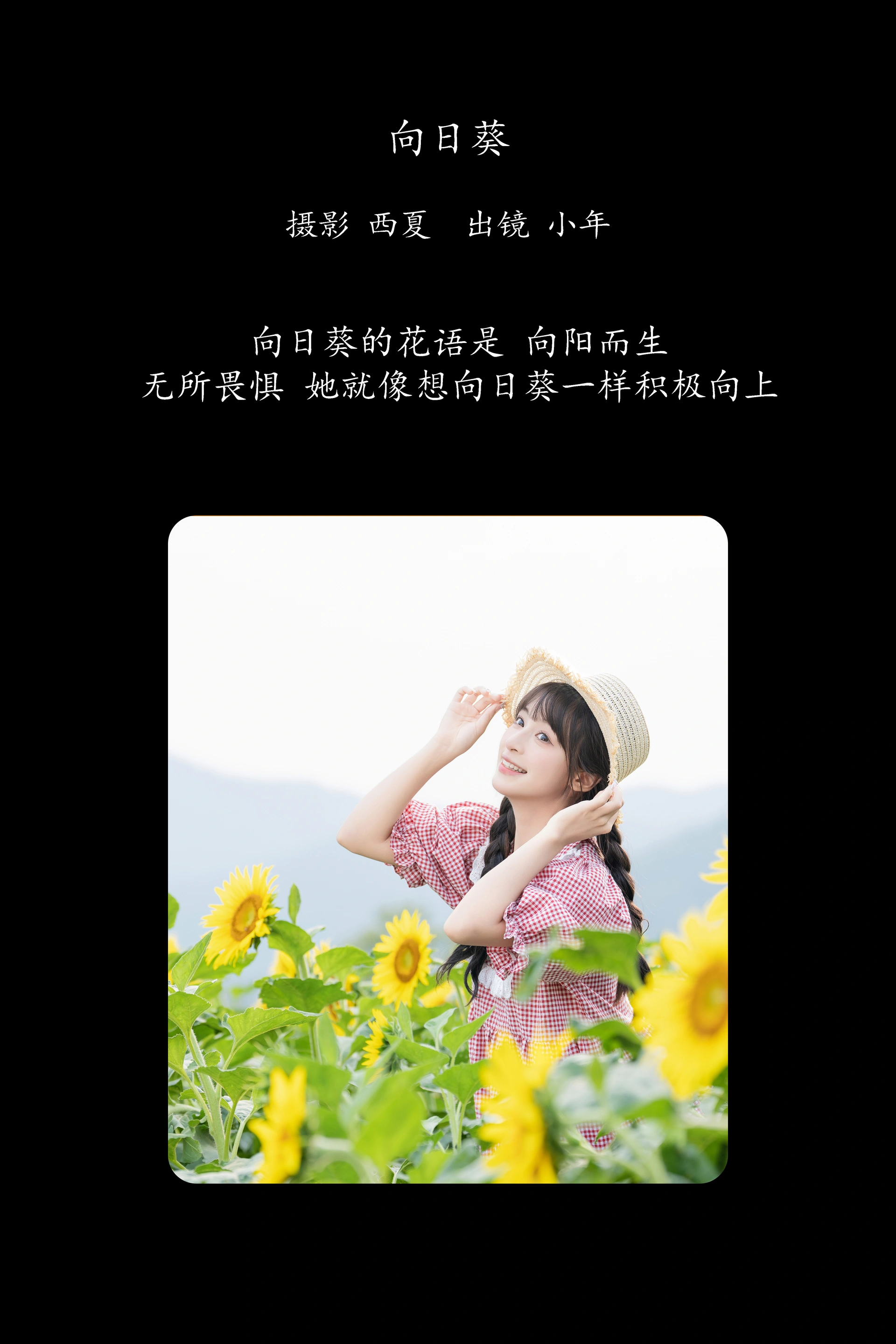 [YITUYU艺图语]2025.02.18 向日葵 夏芋小年 0