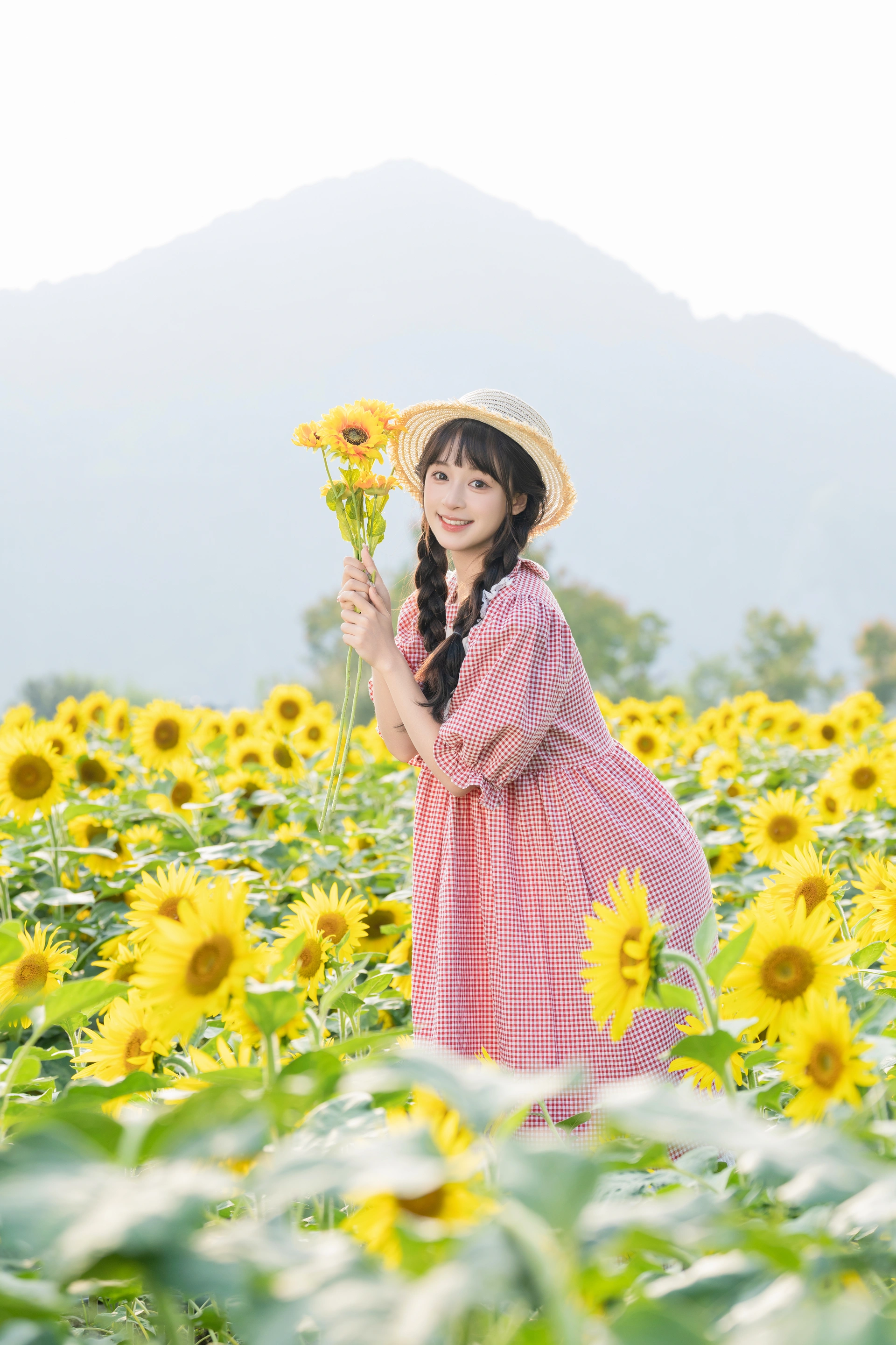 [YITUYU艺图语]2025.02.18 向日葵 夏芋小年 2